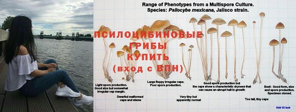 мефедрон Богданович